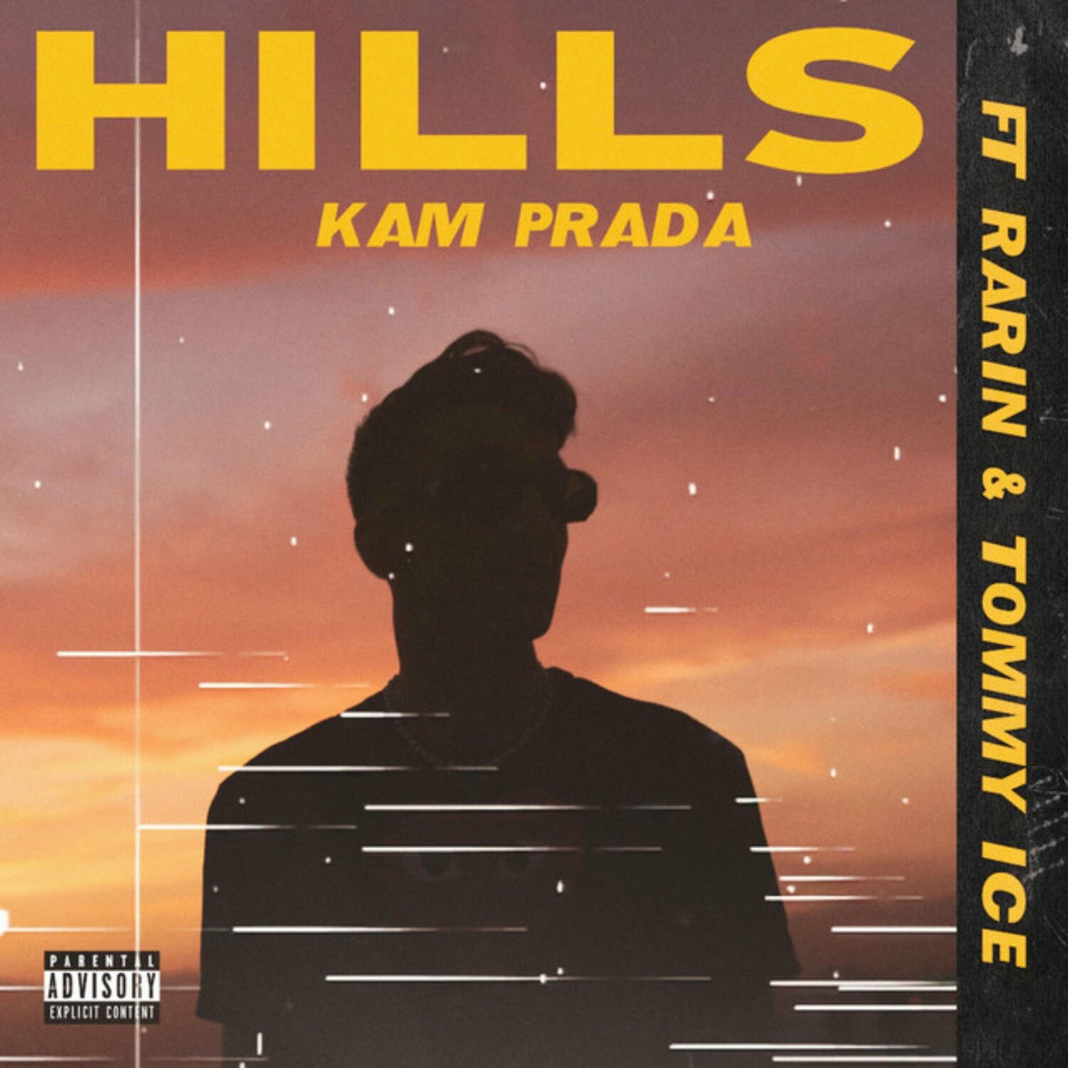 Album cover of Hills