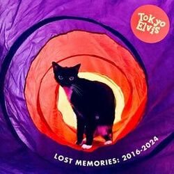 Cover of Lost Memories: 2016-2024