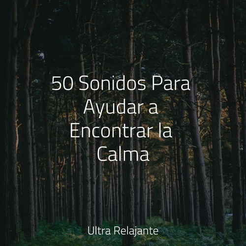 50 Sonidos Para Ayudar a Encontrar la Calma - Sonido Del Bosque y ...