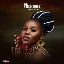 Cover of Indlela