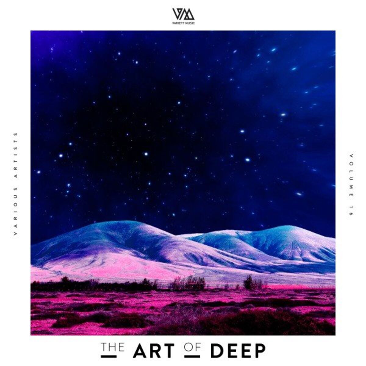Album cover of The Art of Deep, Vol. 16