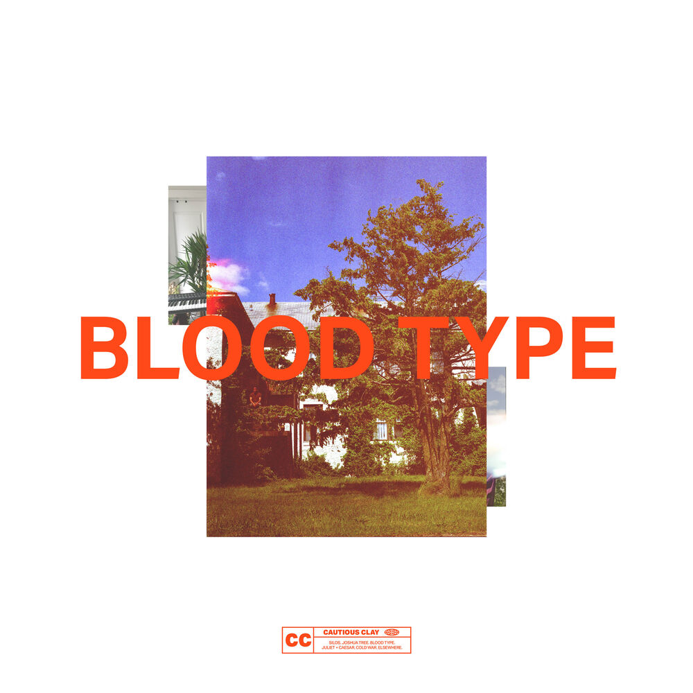 Picture of Blood Type