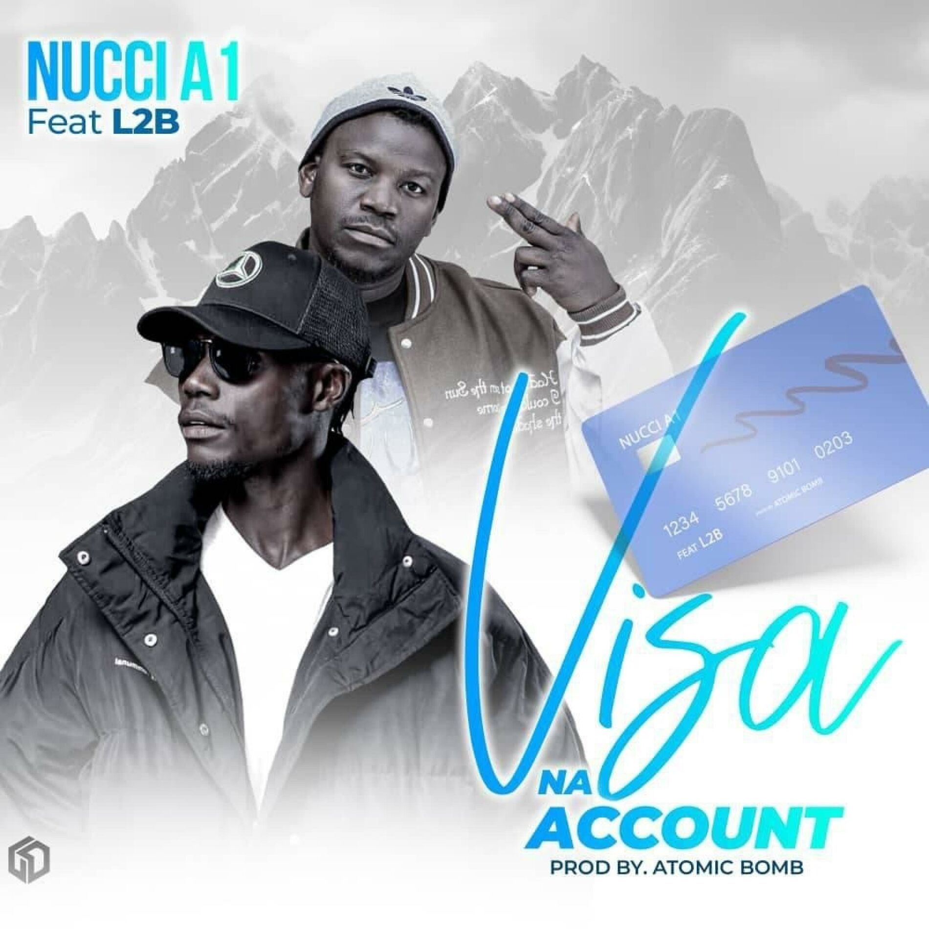 Album cover of Visa Na Account (feat. L2B)