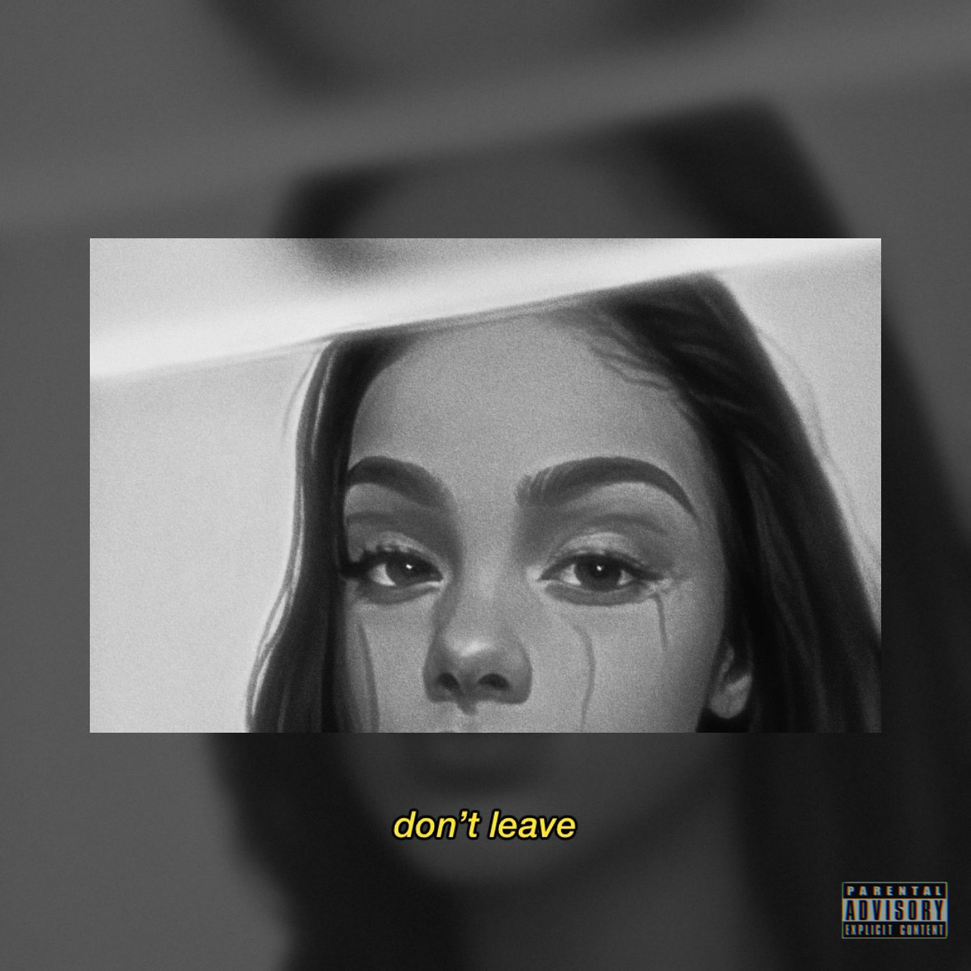 Album cover of Don't Leave
