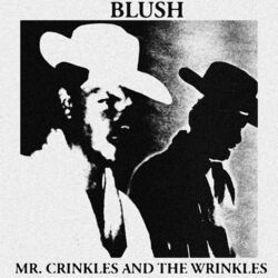 Cover of Mr. Crinkles and the Wrinkles