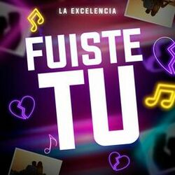 Cover of Fuiste Tu