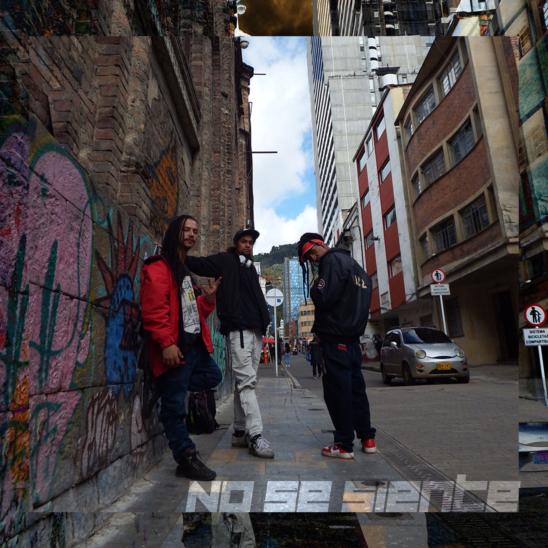 Album cover of No Se Siente