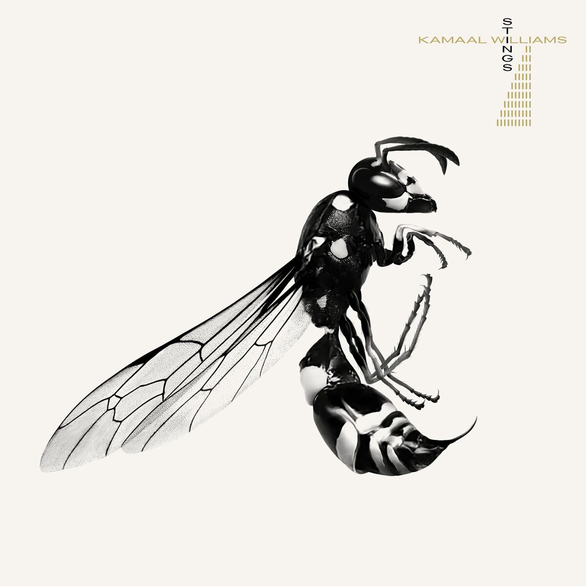 Album cover of Stings