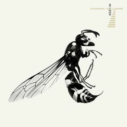 Cover of Stings