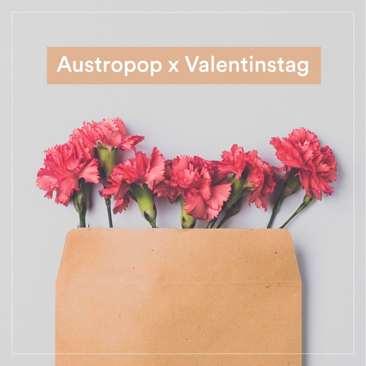 Album cover of Austropop x Valentinstag
