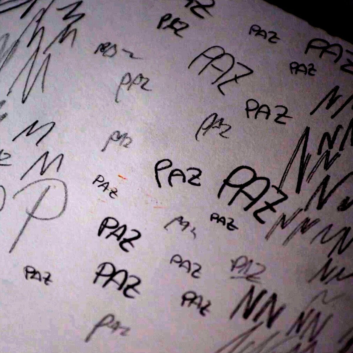 Album cover of Paz