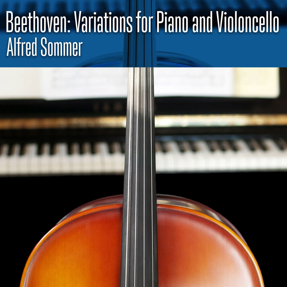 Picture of Beethoven: Variations for Piano and Violoncello