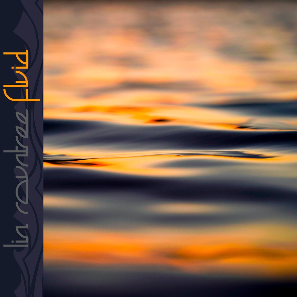 Album cover of Fluid