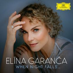 Cover of When Night Falls ...