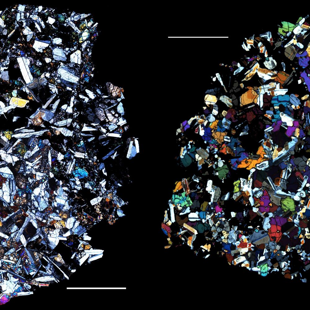 Picture of The Lithic Principle