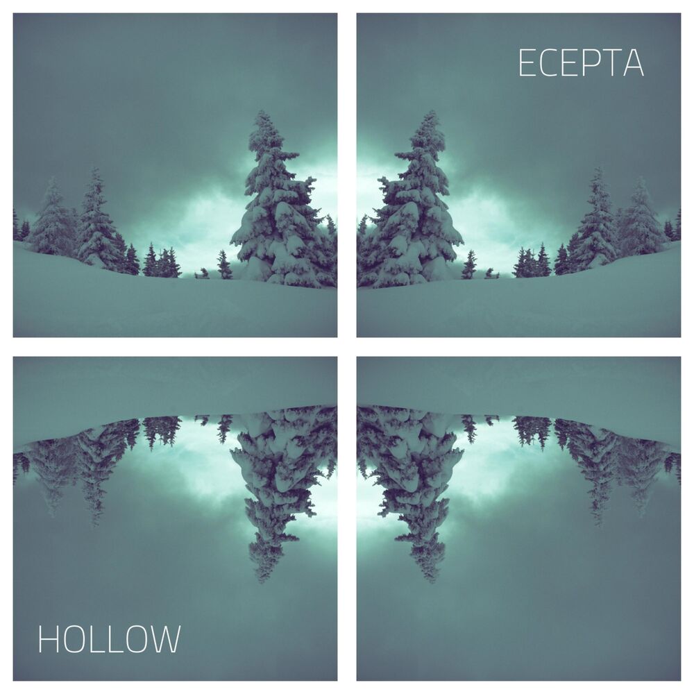 Picture of Hollow