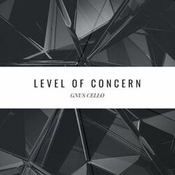 Cover of Level of Concern