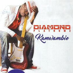 Cover of Kamwambie