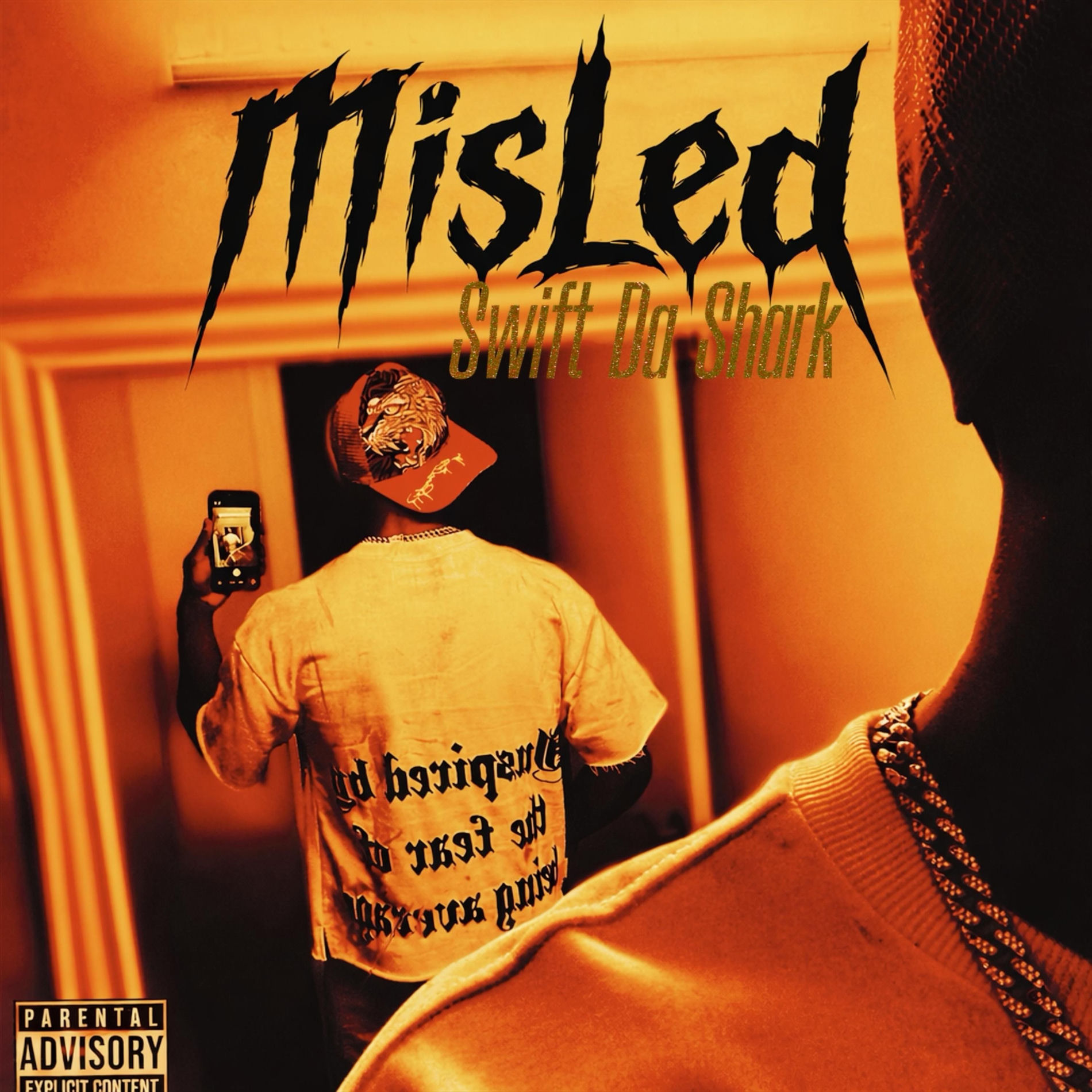 Album cover of MisLed