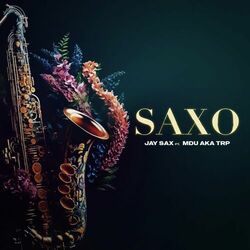 Cover of Saxo
