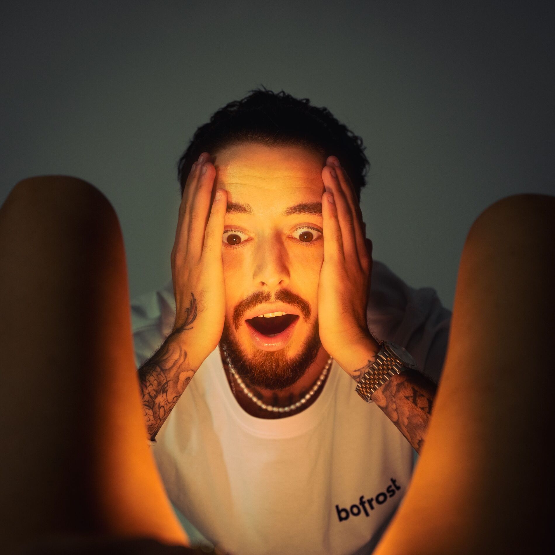 Album cover of Bofrost Mann