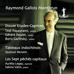 Cover of Raymond Gallois Montbrun