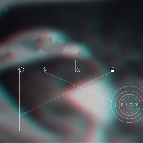 你走以后