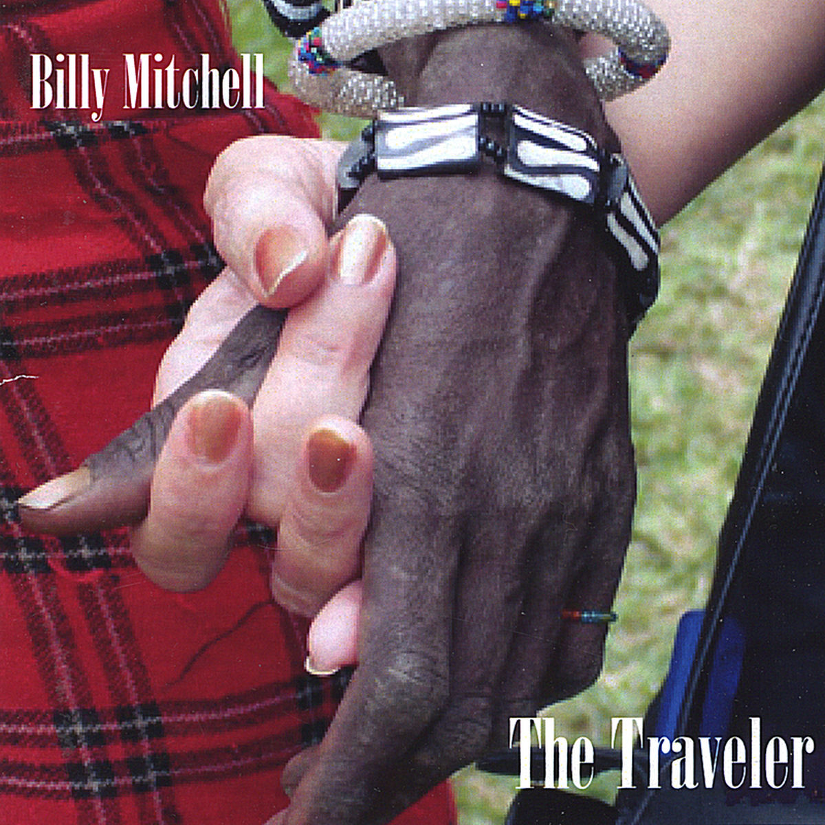 Album cover of The Traveler