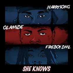 Cover of She Knows
