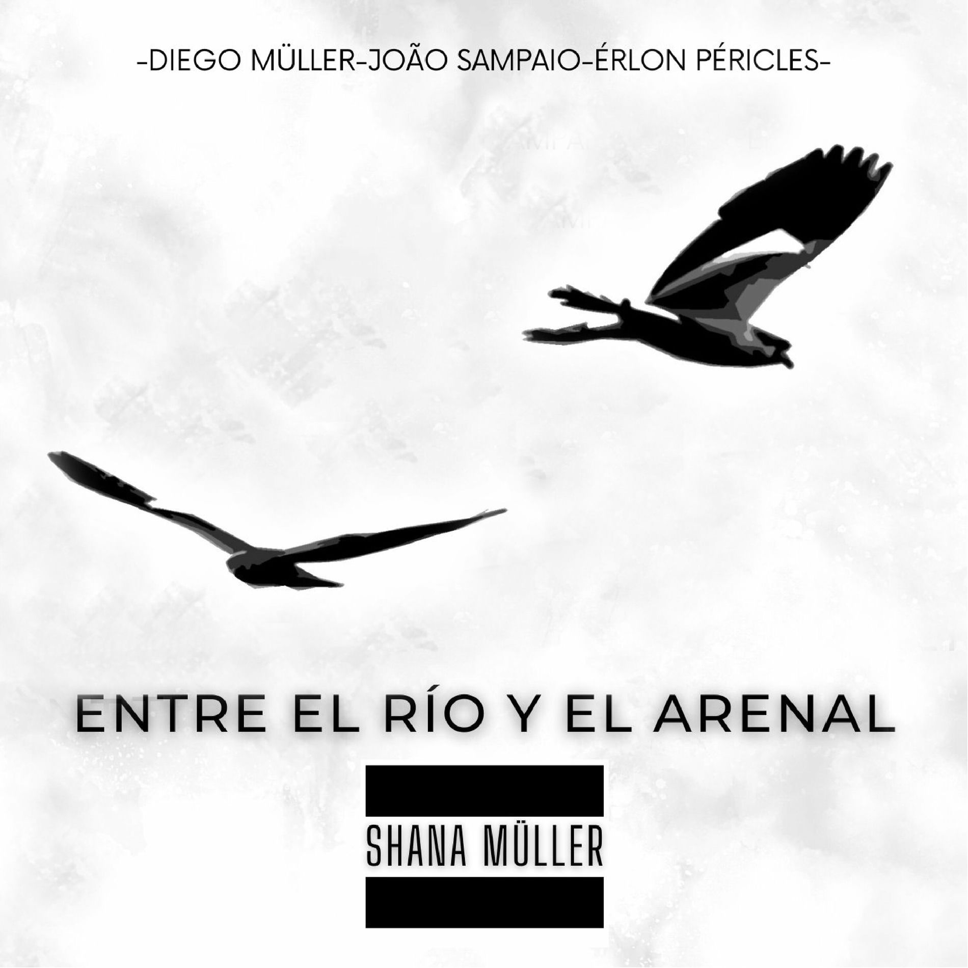 Album cover of Entre el Río y el Arenal