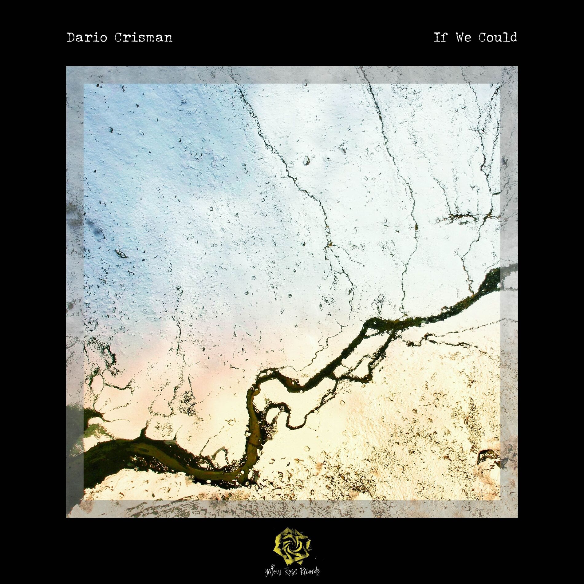 Album cover of If We Could