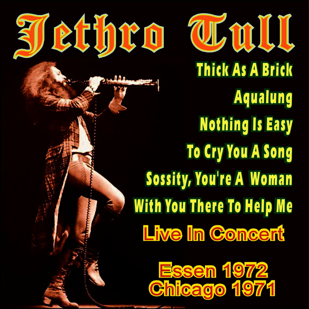 Picture of Jethro Tull - Live in Concert
