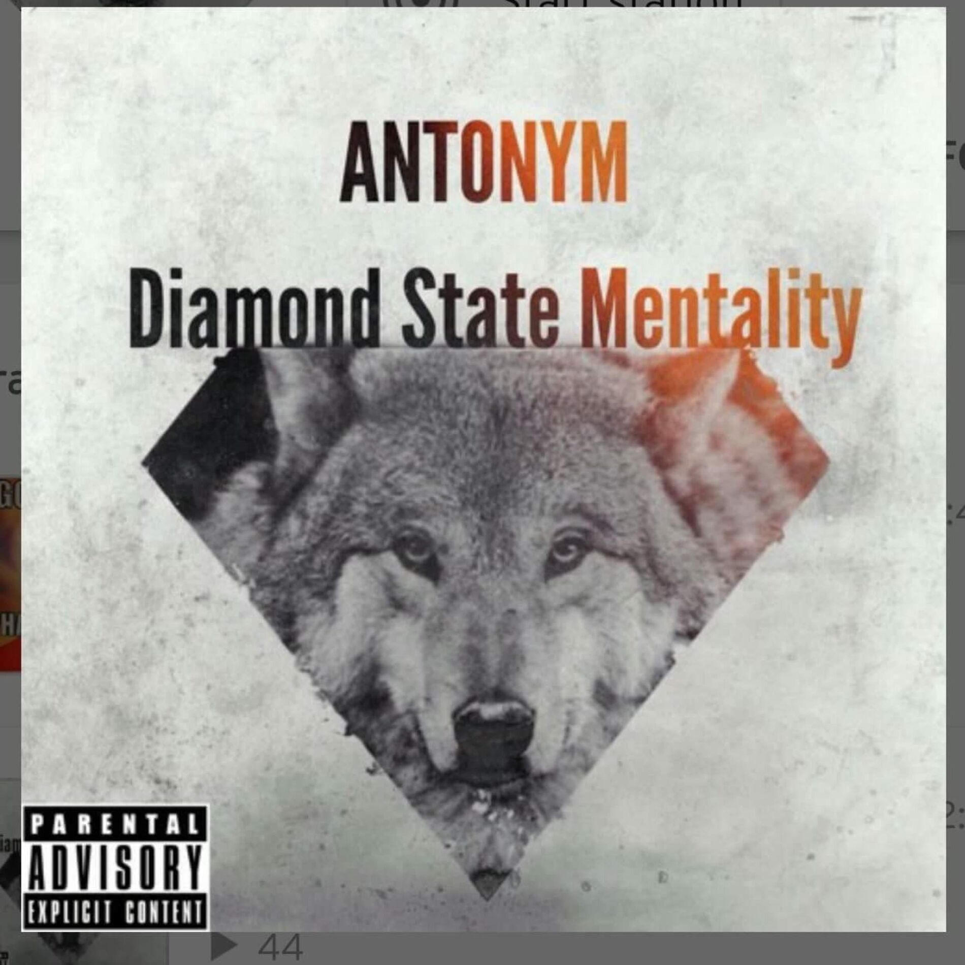 Album cover of Diamond State Mentality