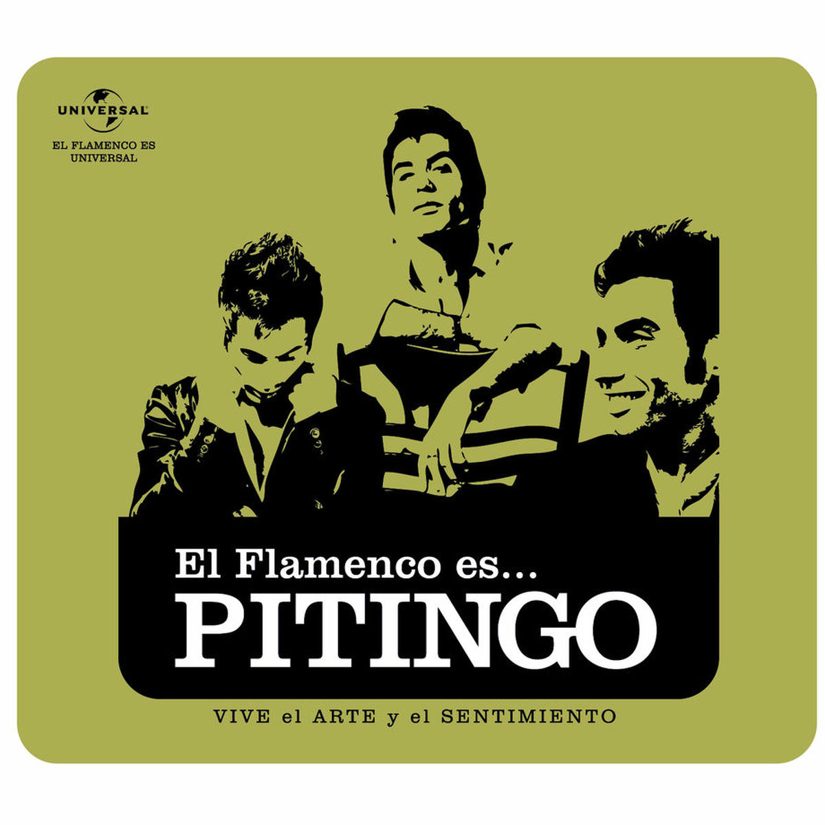 Album cover of Flamenco es... Pitingo