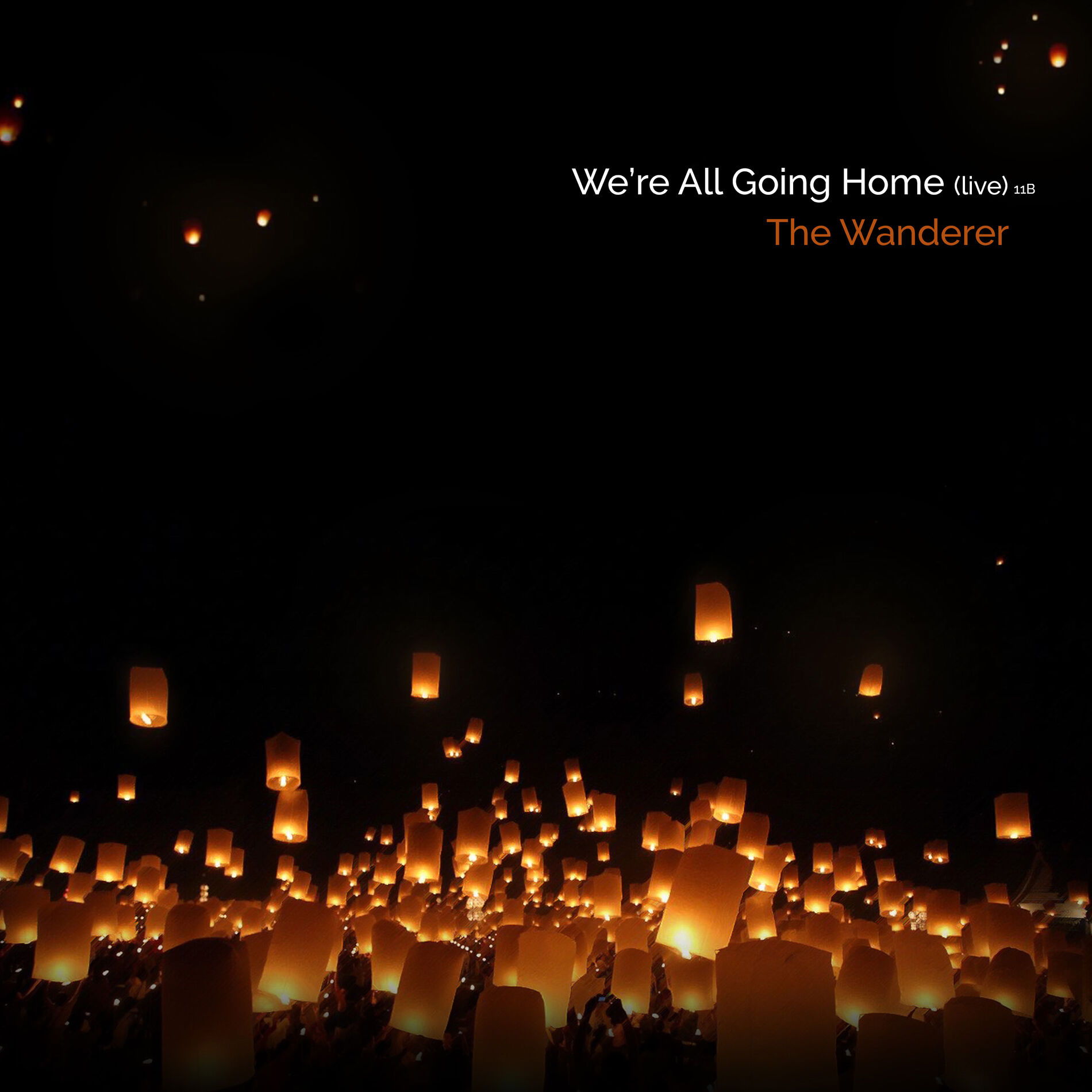Album cover of We're All Going Home (Live)
