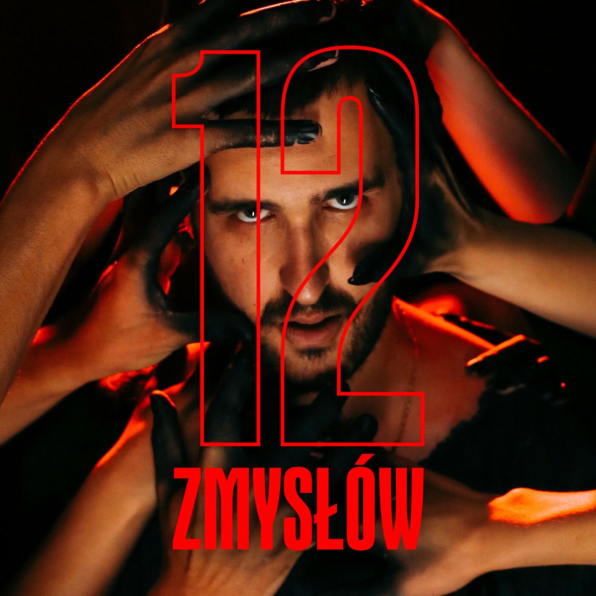 Album cover of 12 zmysłów