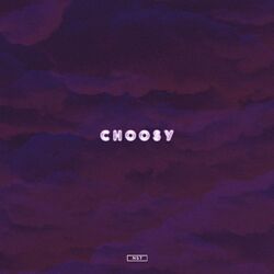 Cover of Choosy