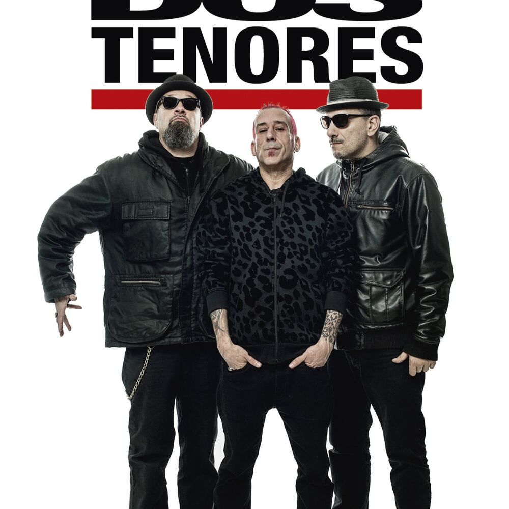 Picture of Dos Tenores
