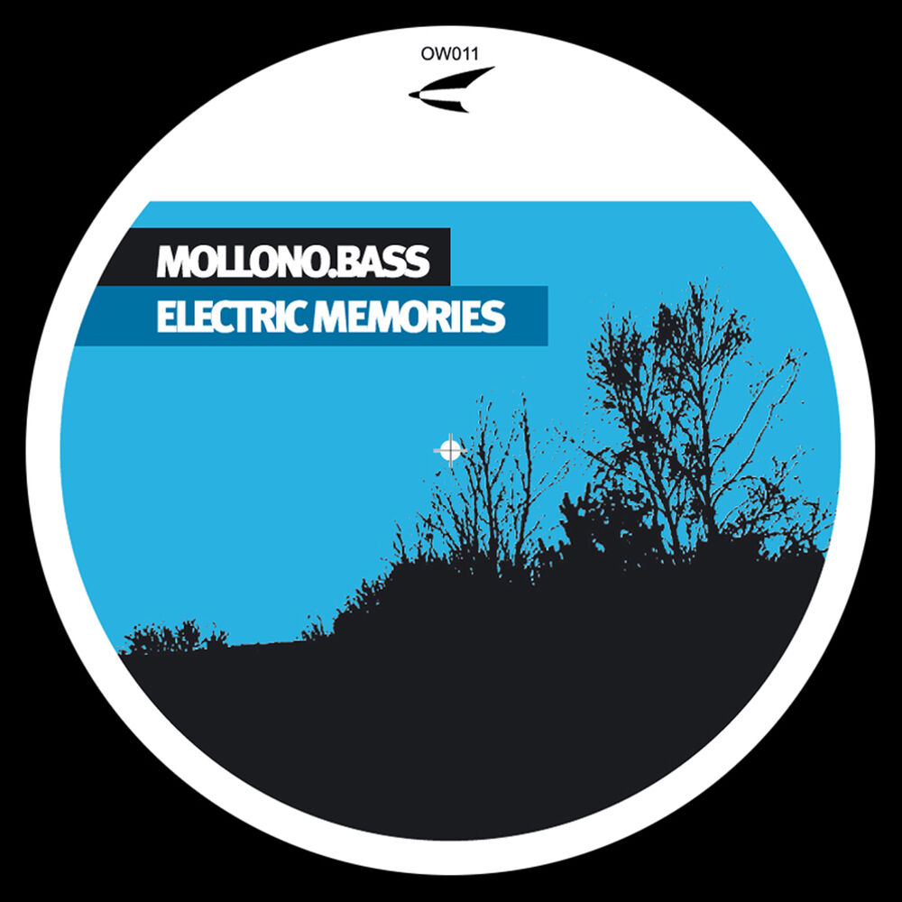 Picture of Electric Memories