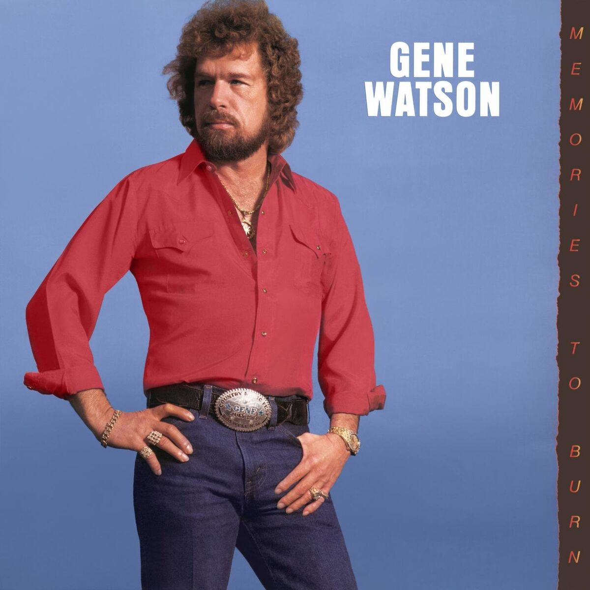 Album cover of Memories to Burn