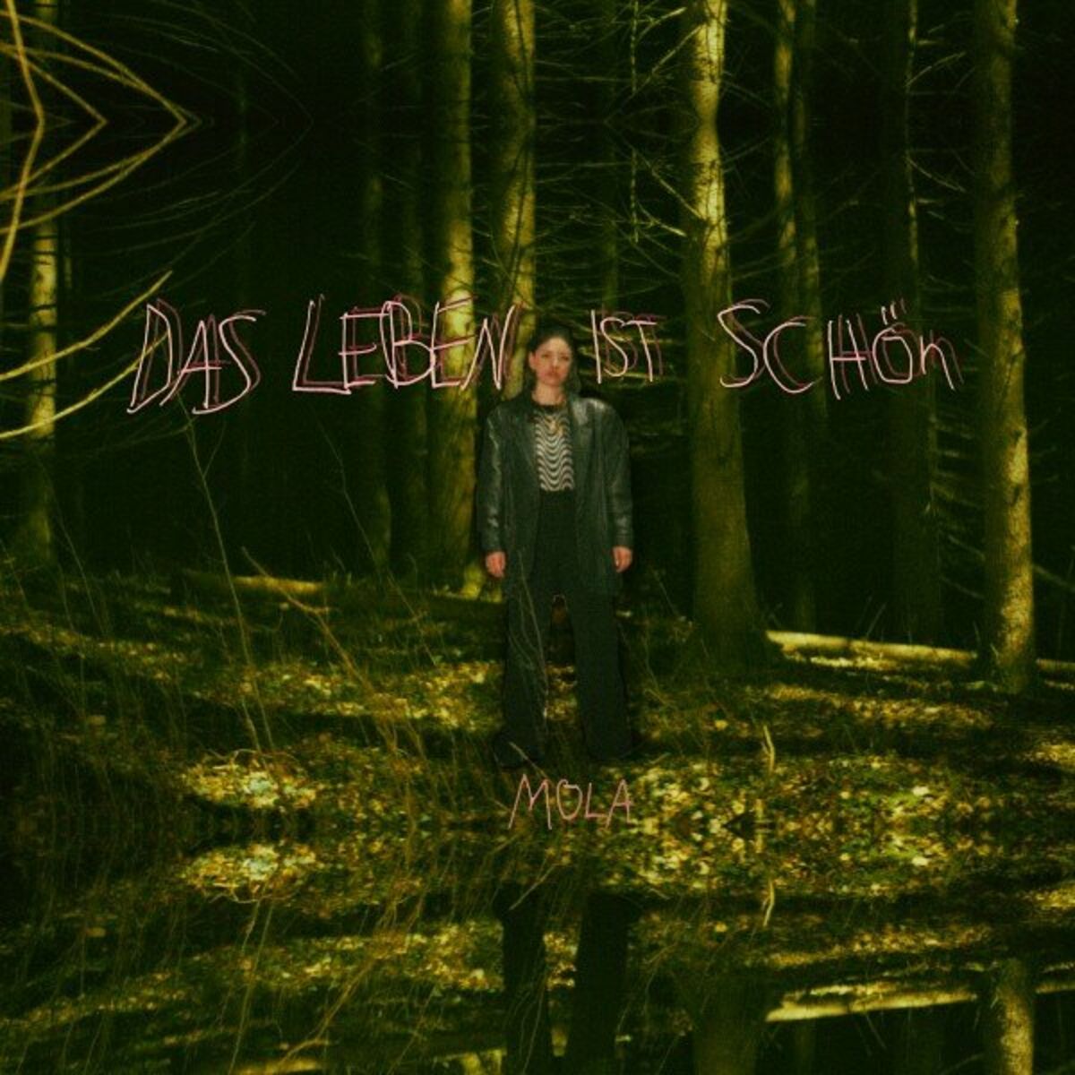 Album cover of Das Leben ist schön