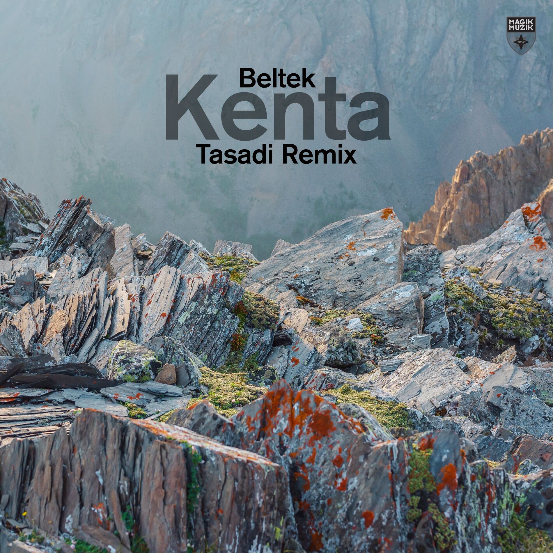 Album cover of Kenta (Tasadi Remix)