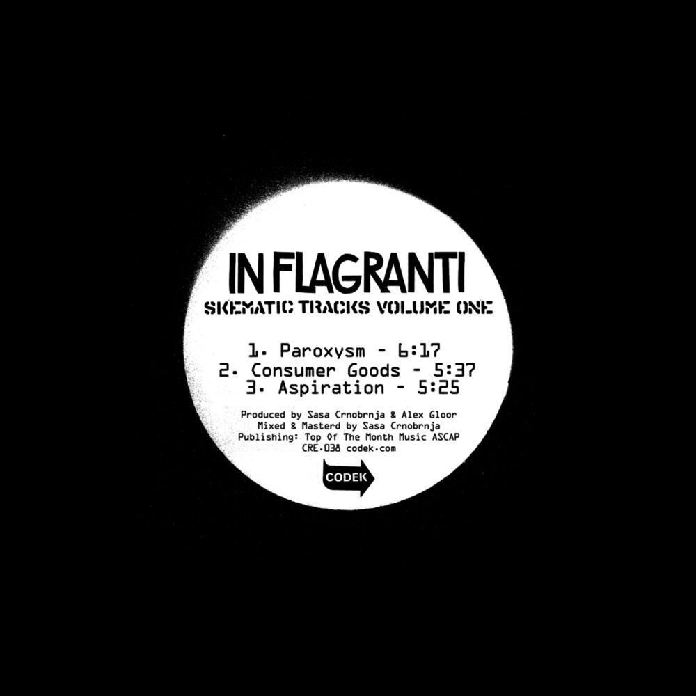 Picture of In Flagranti Presents Skematic Tracks Volume 1
