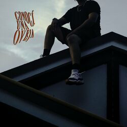 Cover of Conocí una Oveja