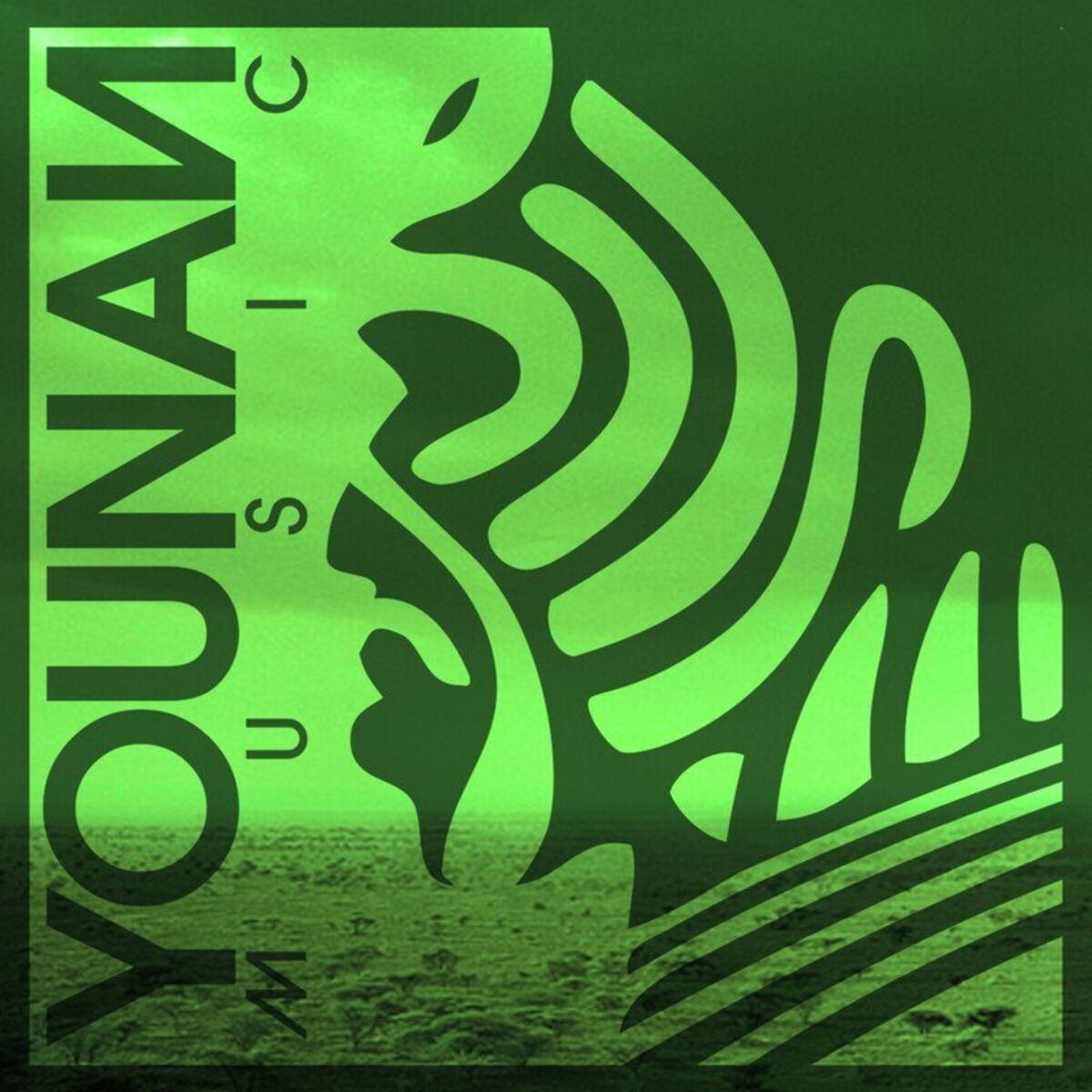 Album cover of Tribe Vibes (DJ Mix)