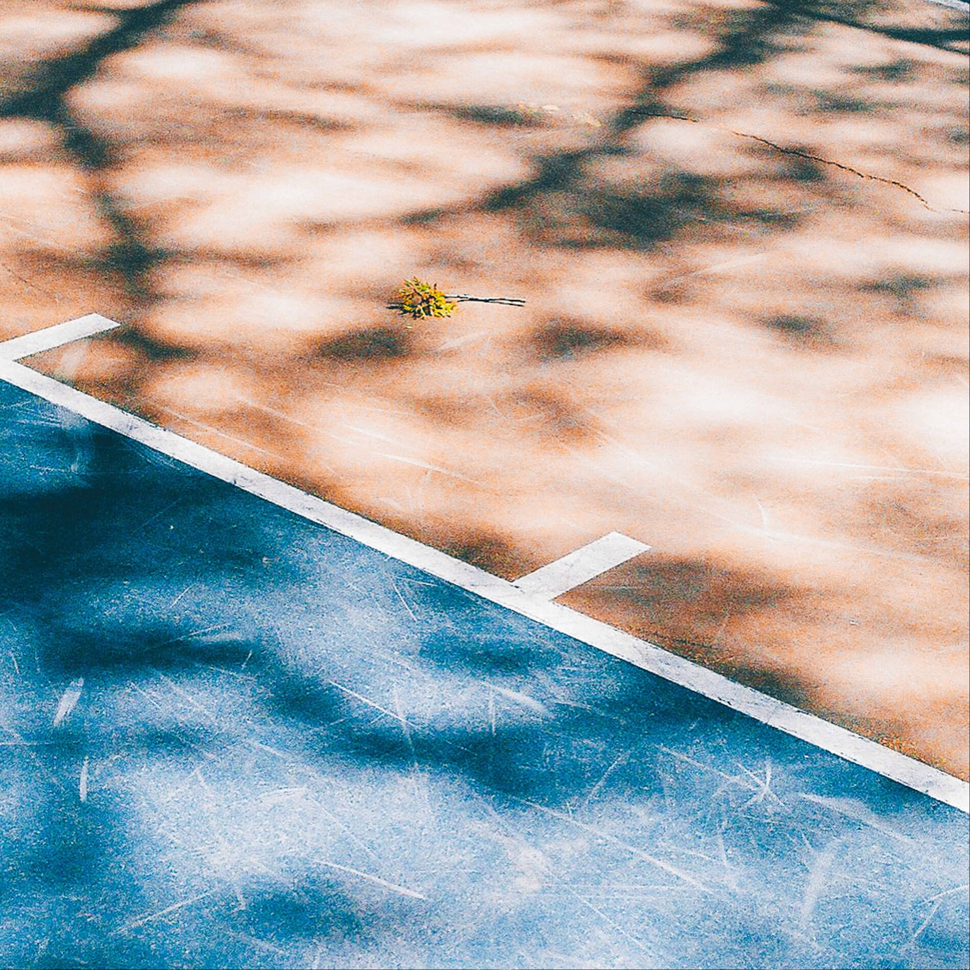 Album cover of Friends