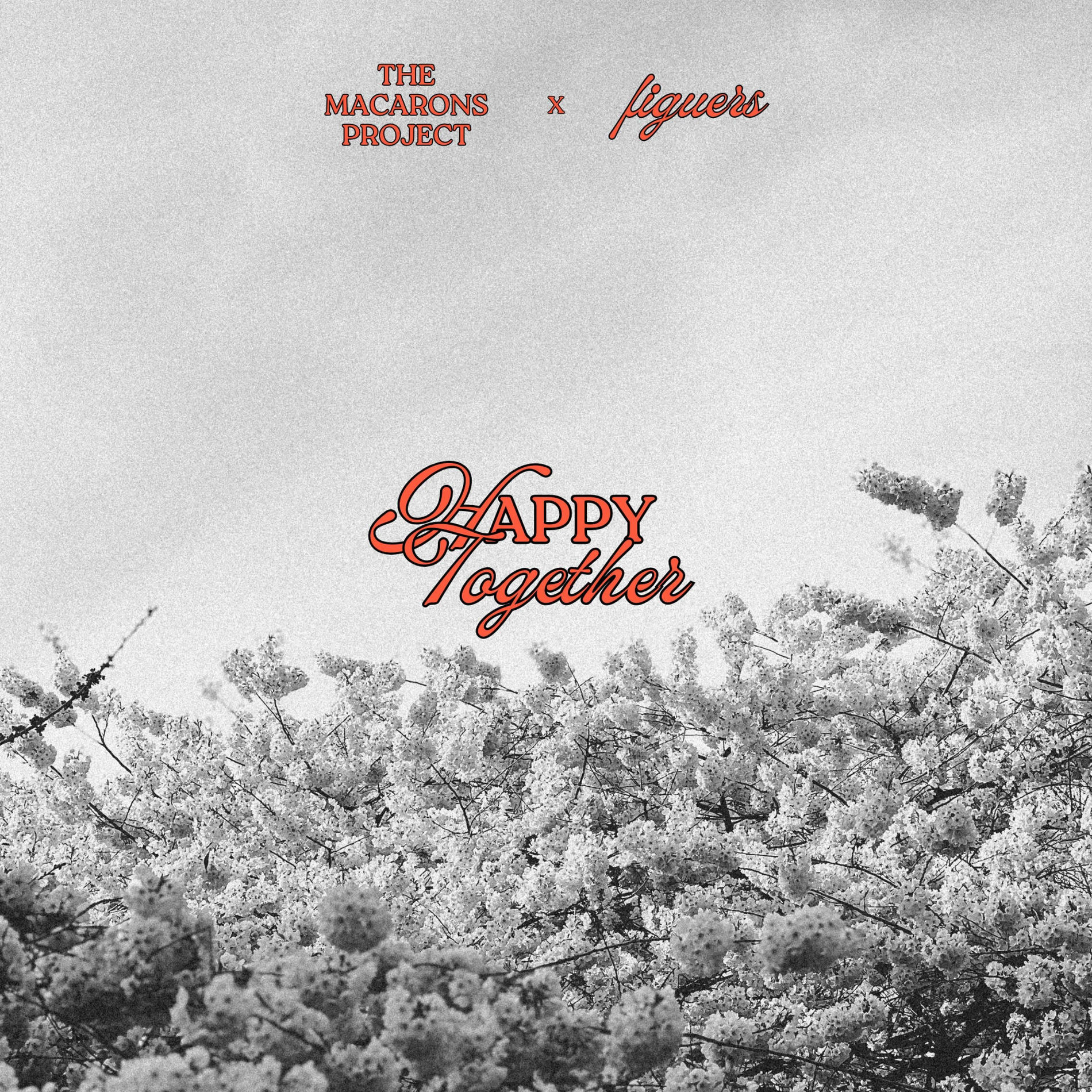 Album cover of Happy Together