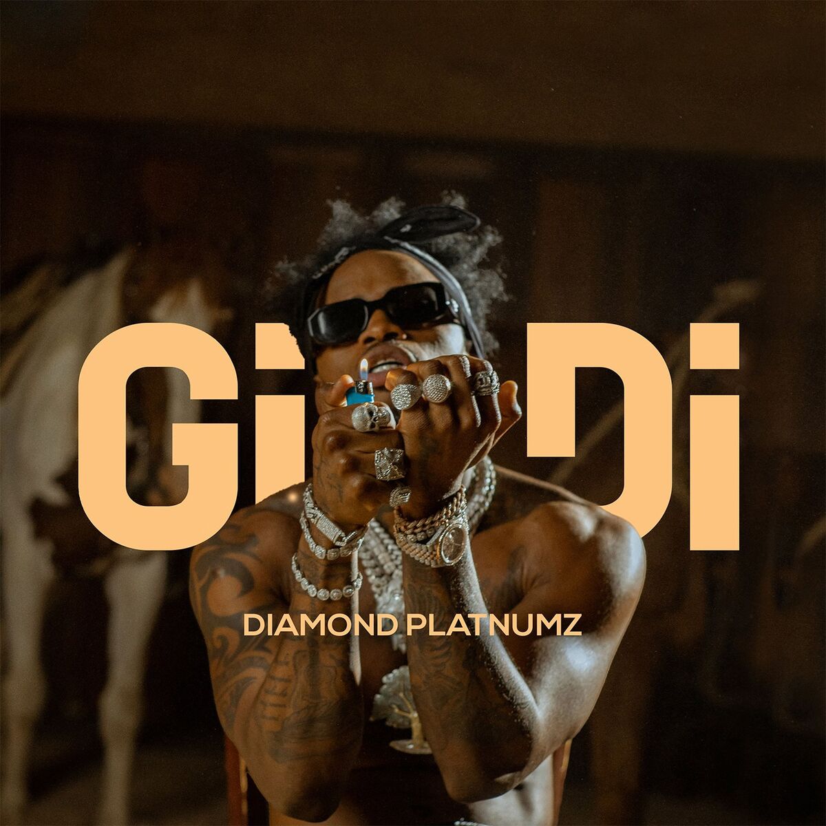 Album cover of Gidi