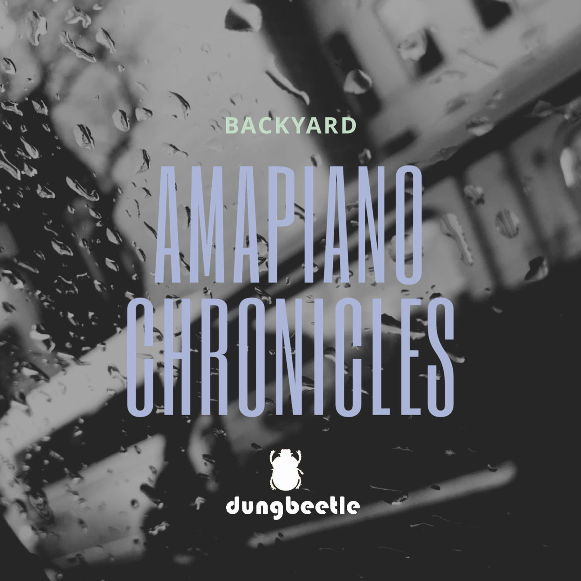 Album cover of Amapiano Chronicles