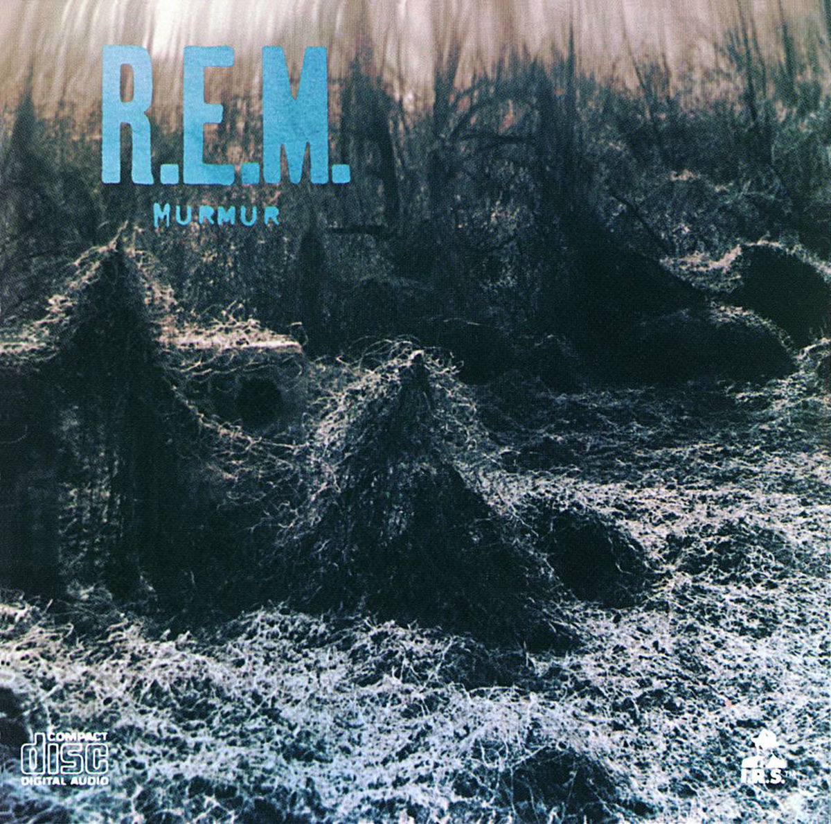 Album cover of Radio Free Europe